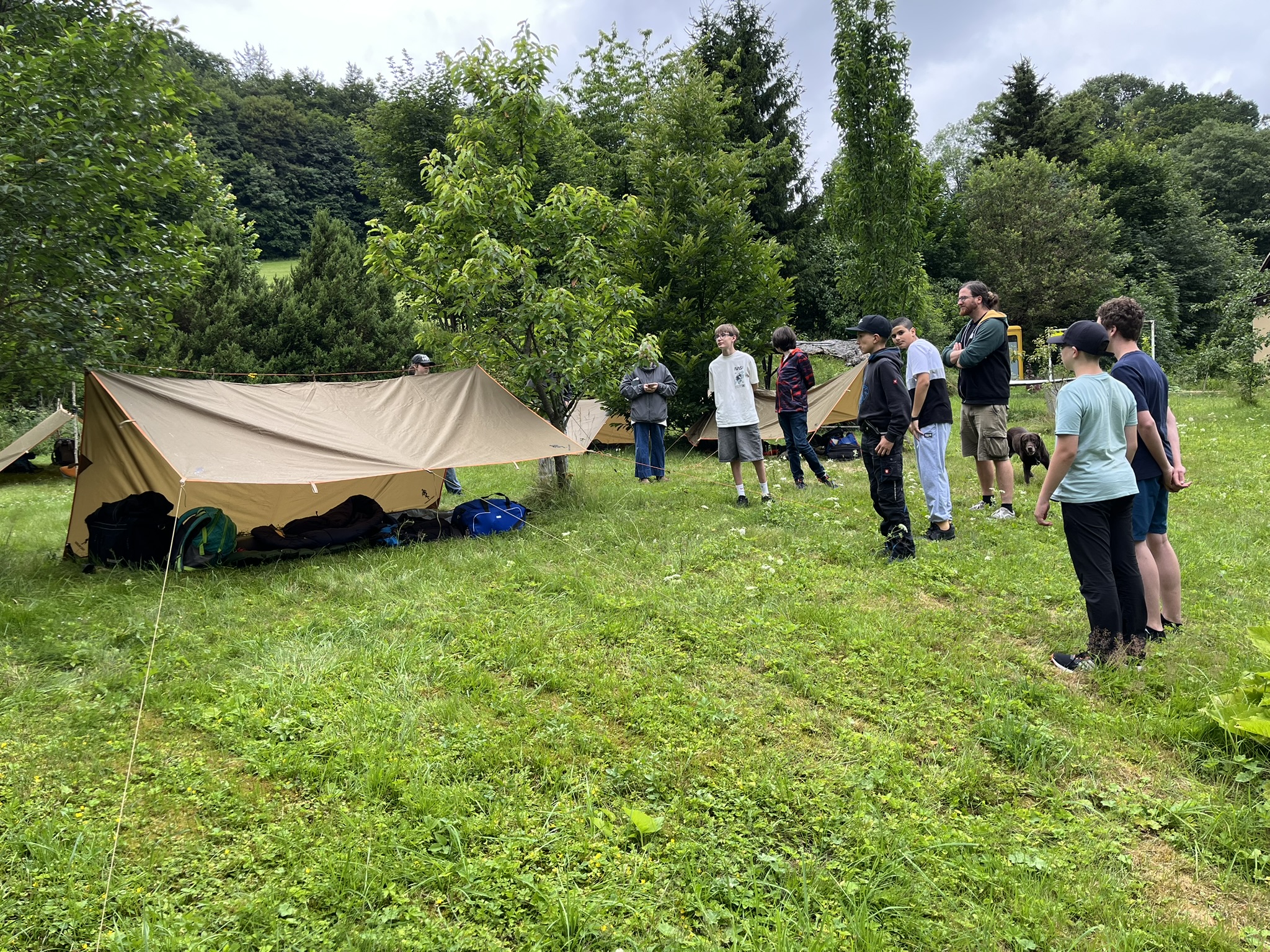 Projekt_X_2026 (1)